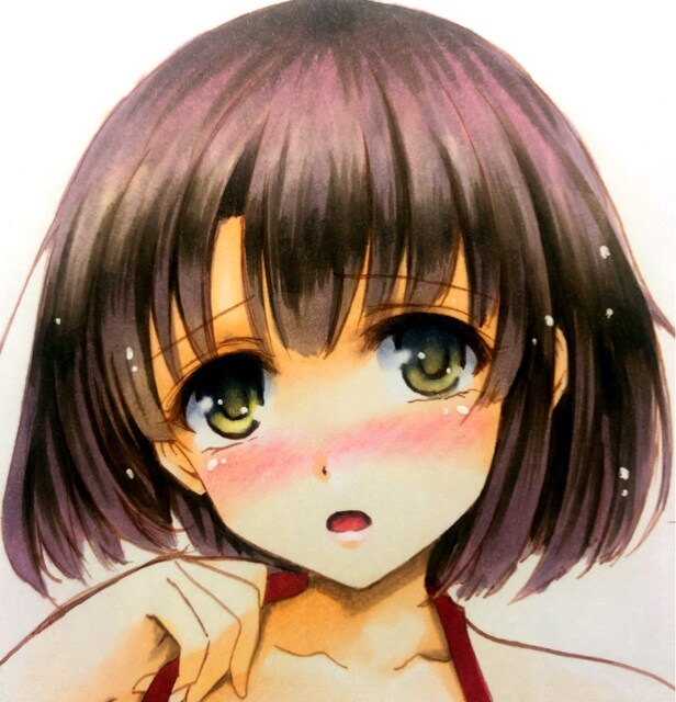 自作イラスト 冴えカノ 加藤恵 霞ヶ丘詩羽 新品 中古のオークション モバオク 自作イラスト 冴えカノ 加藤恵 霞ヶ丘詩羽 新品 中古のオークション モバオク