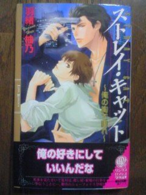 Bl 小説 ストレイ キャット 羽緒柚乃 橘ケイコ 直筆サイン アニメ コミック キャラクター 新品 中古のオークション モバオク